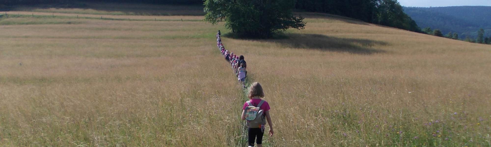 Tout savoir sur l&rsquo;ASCB : sport et culture à Ban-de-Laveline !