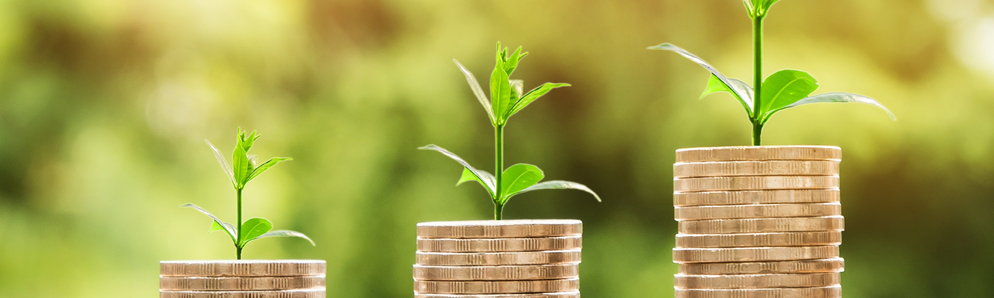 Économie : 650 000 000 € d’aides débloqués pour la crise !
