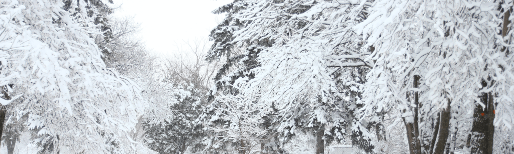 15 centimètres de neige attendus mardi sur les Vosges&nbsp;!