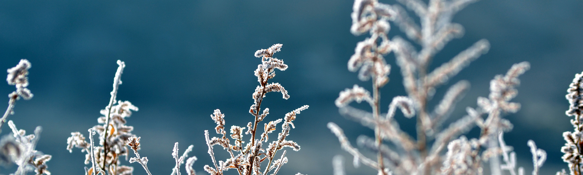 Vosges : levée du niveau 2 de vigilance Grand Froid