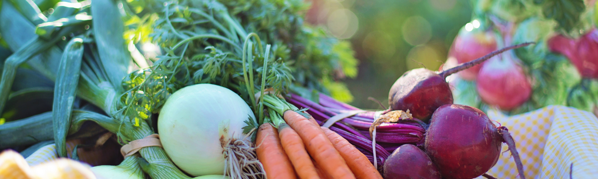 Vosges : agriculture « bio » au menu de nos élus !