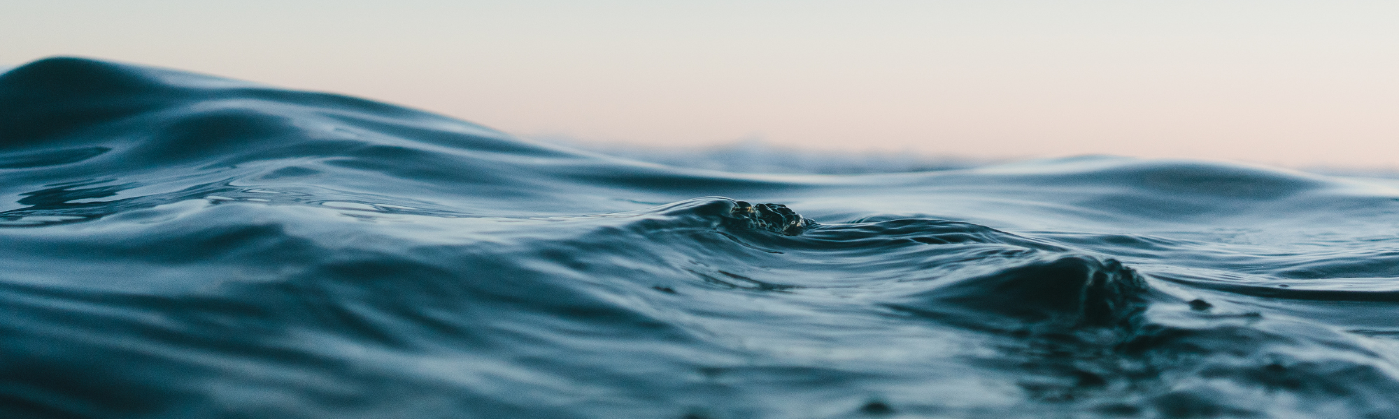 Vosges : se rassembler pour l’eau, vecteur de vie !