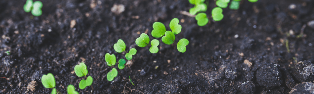Le compost à la Vosgienne : Evodia dévoile son plan&nbsp;!