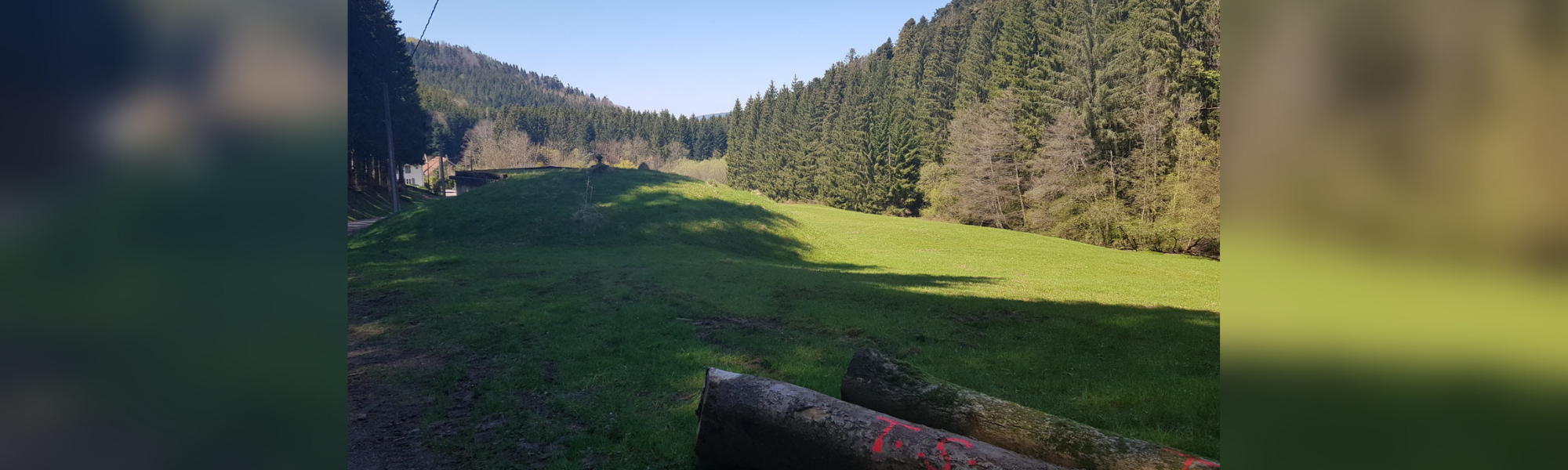 Ban-de-Laveline : plus de précisions sur le décès du bûcheron