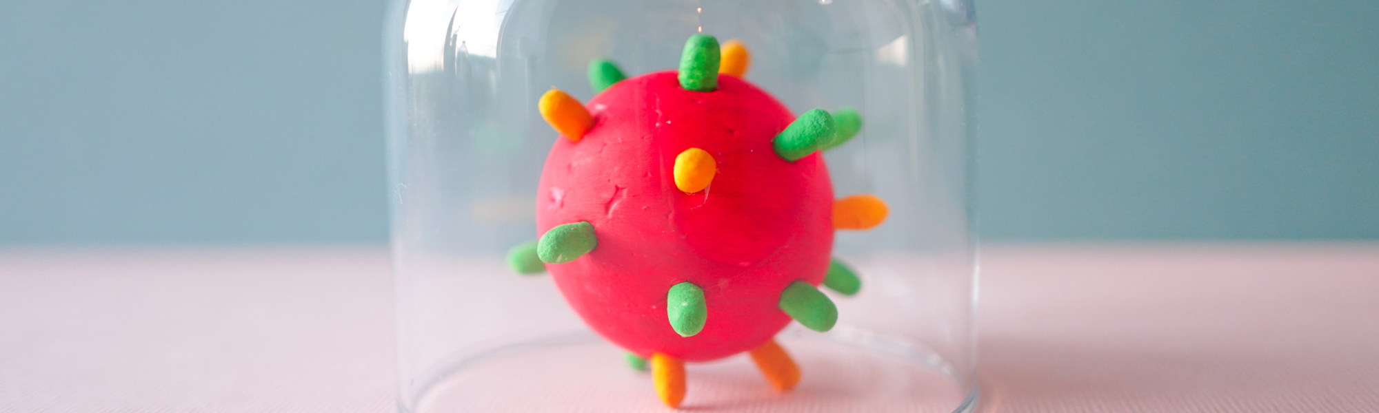 Nouveau confinement : quelles actions dans les Vosges ?