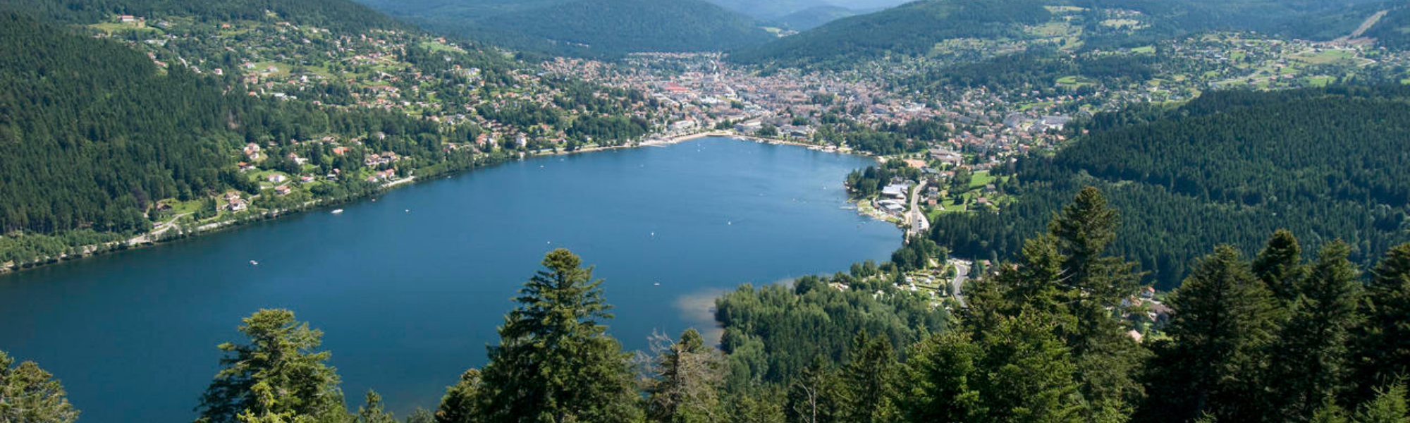 Formation : le CFA Papetier de Gérardmer, un cas unique en France !
