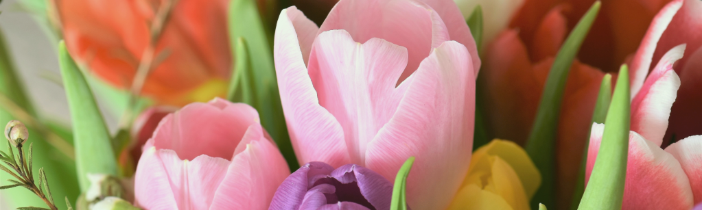 Fleurs et plaisir : le combo parfait&nbsp;!