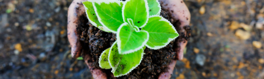 Comment agir pour la transition écologique&nbsp;?