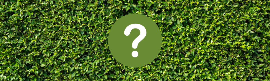 Comment et pourquoi mettre en place un mur végétal&nbsp;?