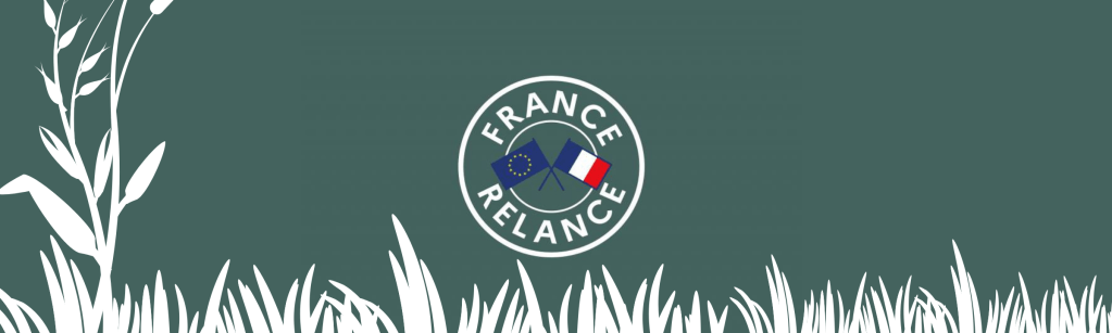 France Relance : fonds pour réhabiliter les friches&nbsp;vosgiennes