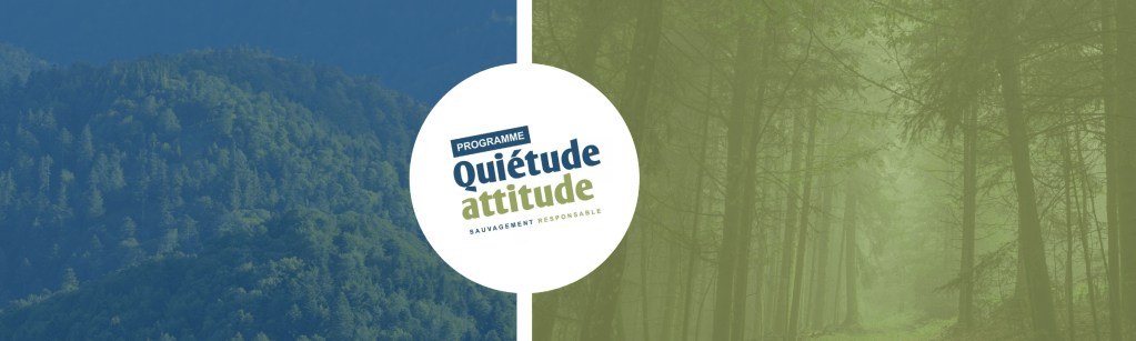 Programme « Quiétude Attitude » : bilan des&nbsp;contrôles