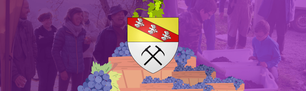 Vendanges à La Croix-aux-Mines : comment est le raisin&nbsp;?