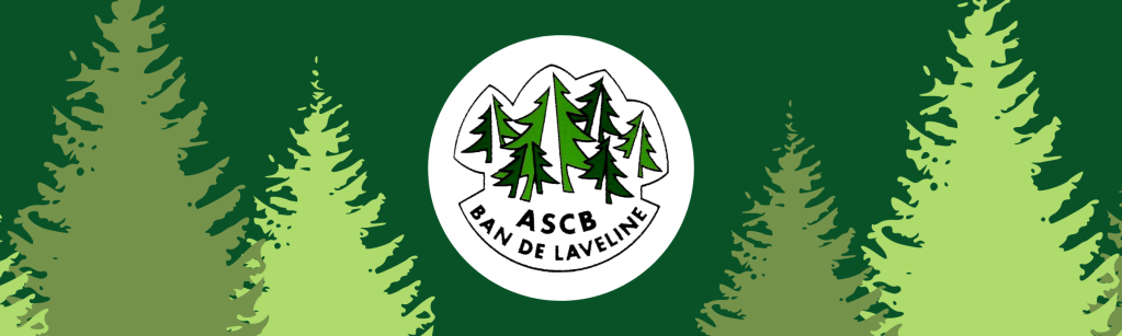 Vente de sapins par l&rsquo;ASCB Tennis les 4 et 11 Décembre 2021&nbsp;!