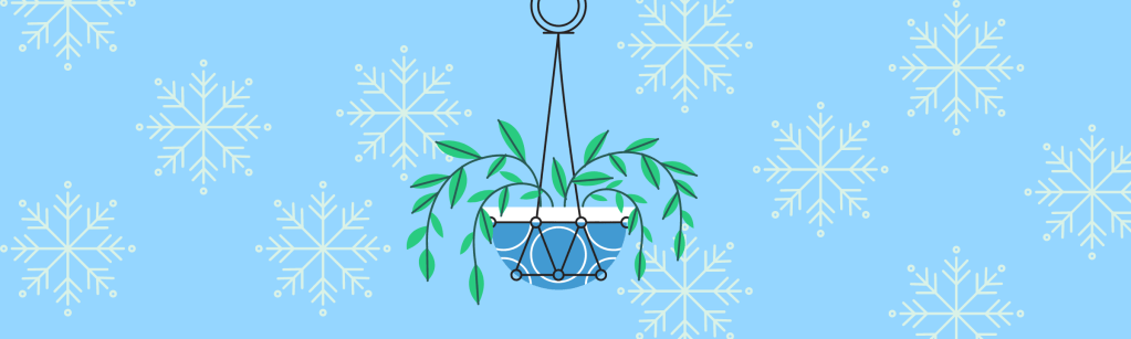 Comment protéger vos plantes du froid en hiver&nbsp;?