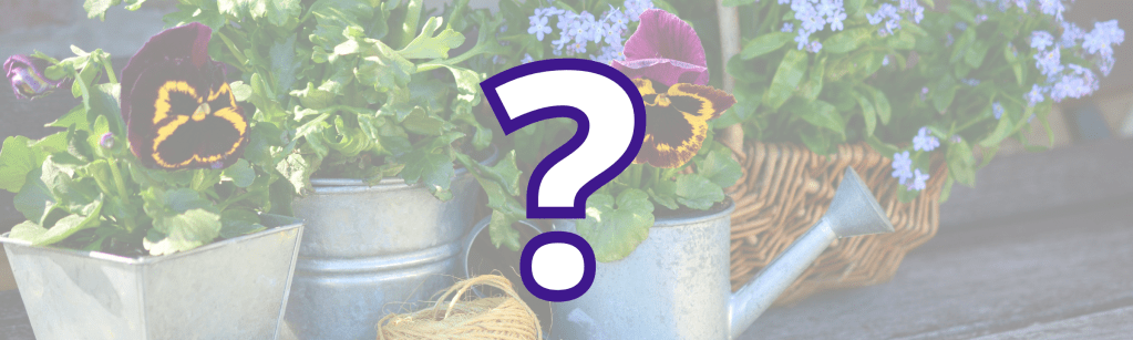 Comment rendre votre jardin plus durable&nbsp;?