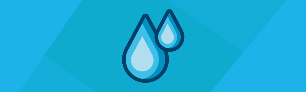 Comment préserver l&rsquo;eau, ressource vitale&nbsp;?