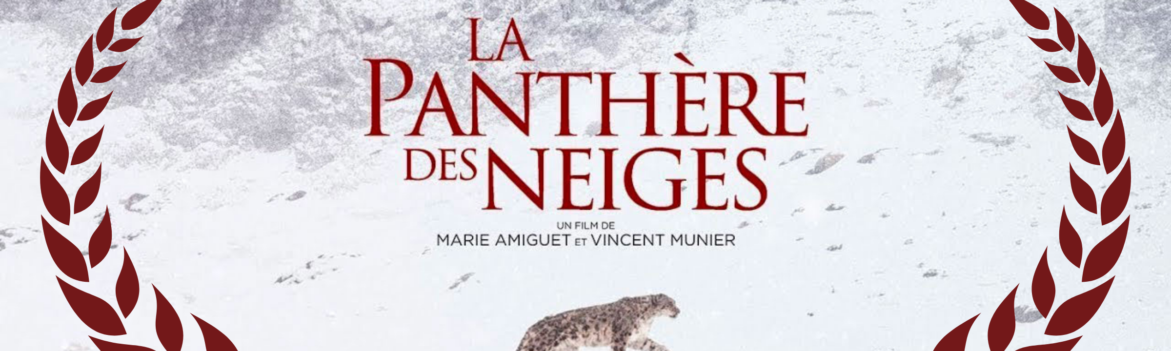 Un César pour le film La Panthère des Neiges !