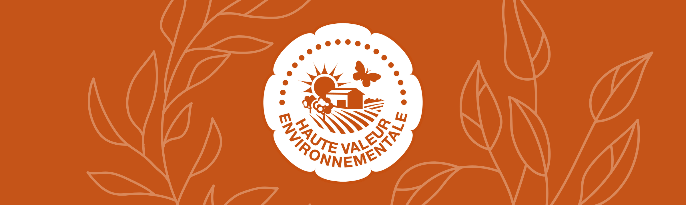 Manger local et bio : nos agriculteurs vosgiens soutenus par le Département !