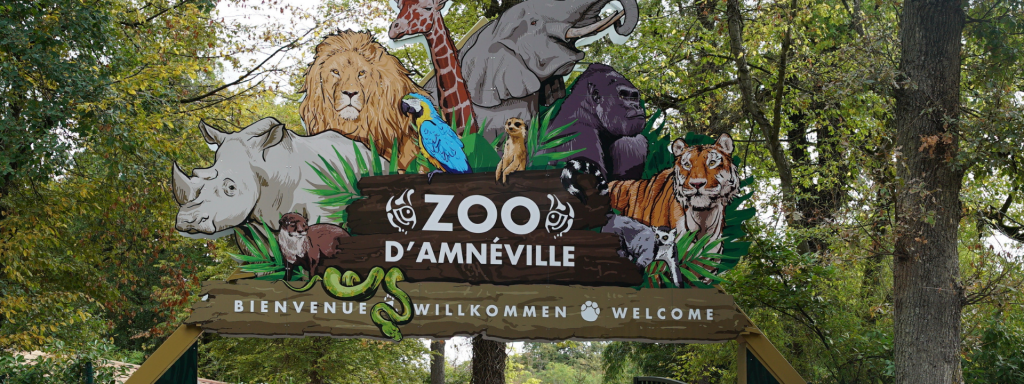 Top 10 France 2021 pour le zoo d&rsquo;Amnéville !