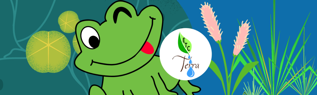 Venir découvrir le crapaudrome avec ETC Terra&nbsp;!