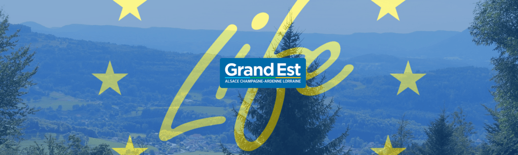 Le Grand Est s&rsquo;engage pour la biodiversité avec LIFE&nbsp;!
