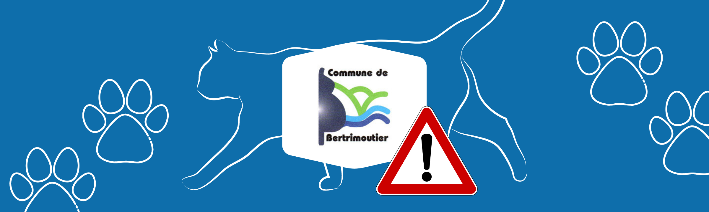 Violences sur animaux à Bertrimoutier : la bêtise humaine sans limite ?