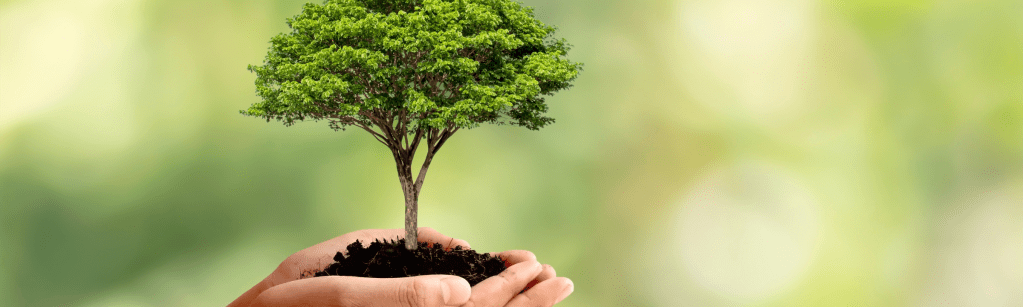 Appel à projet scolaire au développement durable :&nbsp;informations