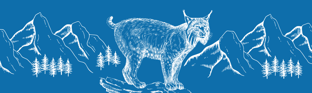 Le Lynx au cœur d&rsquo;un Plan National d’Actions&nbsp;!