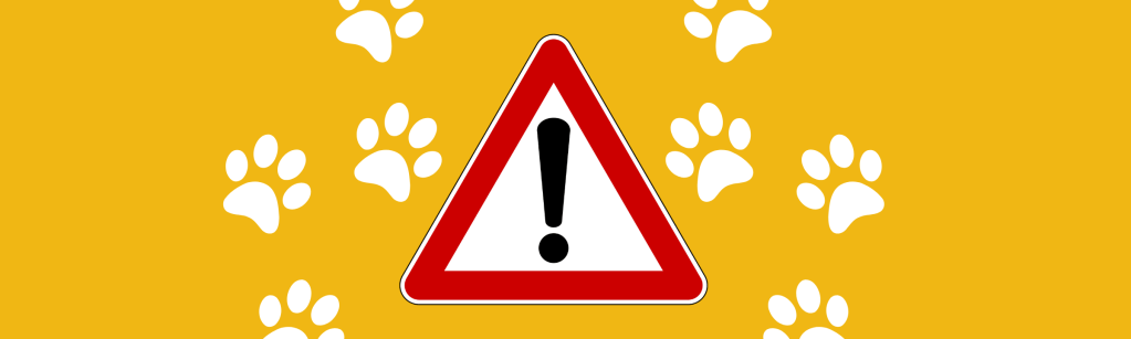 De faux enquêteurs de la SPA ont été signalés en Déodatie&nbsp;!