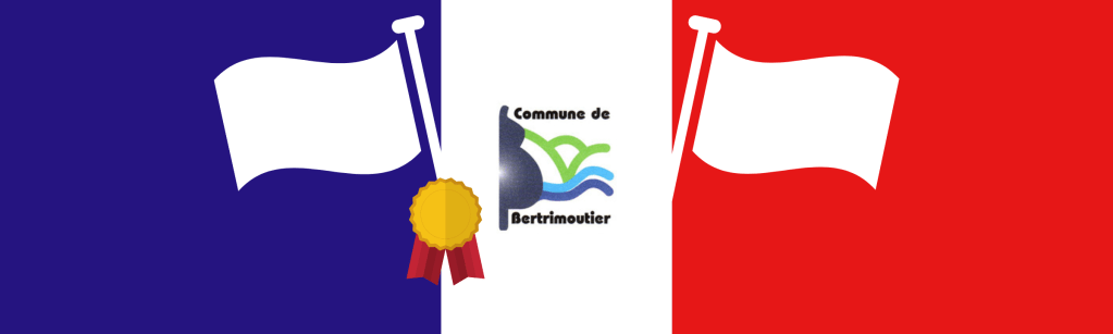 Gisèle Bertrand décorée pour ses 33 années de porte-drapeau à Bertrimoutier&nbsp;!