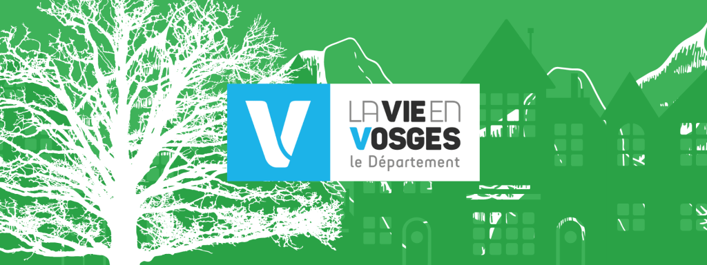 Soutenir nos territoires : nos élus vosgiens en action&nbsp;!