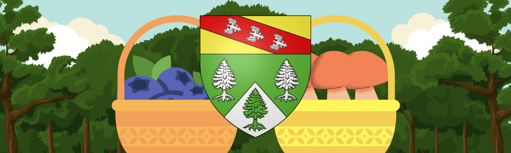 Cueillette des myrtilles, des airelles et champignons dans les Vosges :&nbsp;réglementations