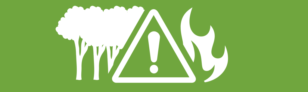 Canicule, sécheresse : adoptez les bons gestes contre les incendies en forêt&nbsp;!