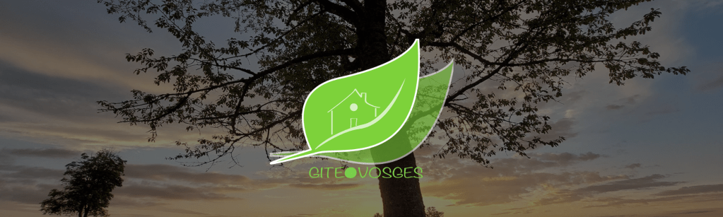 Mirabelle, la tiny house &laquo;&nbsp;cocooning&nbsp;&raquo; à la Cruciminoise&nbsp;!