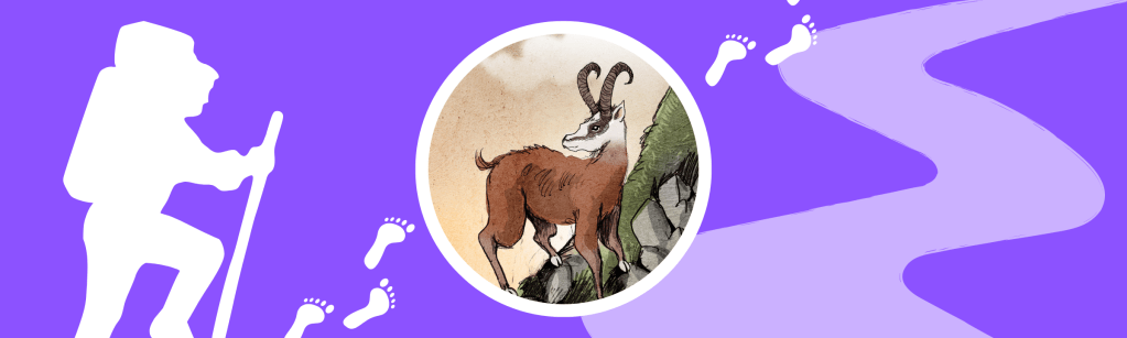 &laquo;&nbsp;A la recherche du Dahu&nbsp;&raquo;: randonnée nocturne à Plainfaing le 26 Décembre&nbsp;!