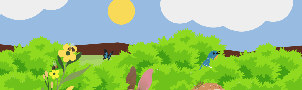 Protégons notre biodiversité&nbsp;!