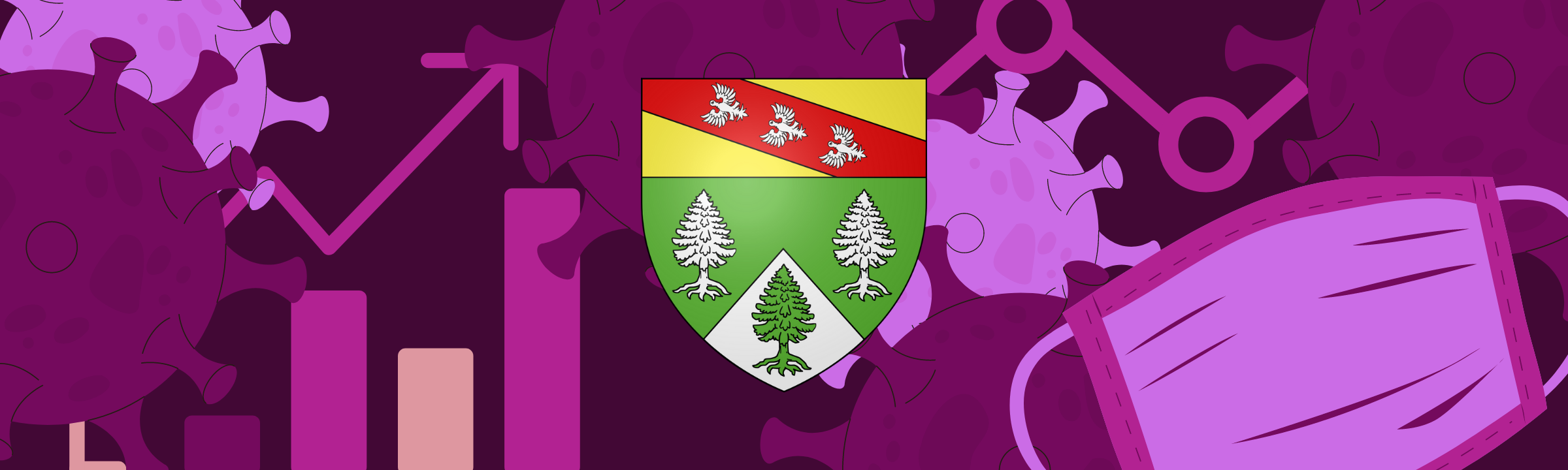 Retour du COVID-19 dans les Vosges ?