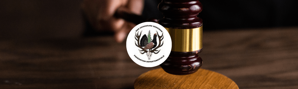 La fédération de chasse des Vosges est condamnée sur la chasse des alouettes des champs&nbsp;!