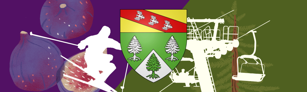 Mi-figue mi-sapin pour la saison hivernale de tourisme dans les Vosges&nbsp;!
