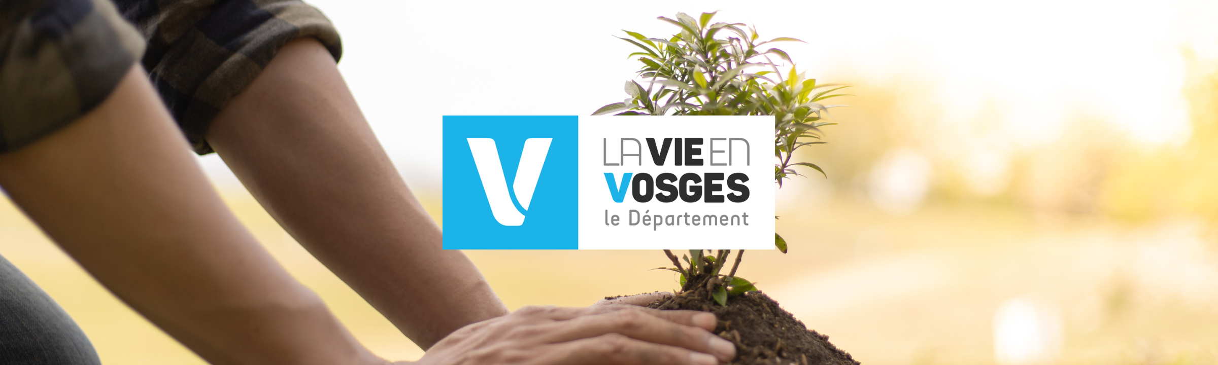 L&rsquo;arboriculture au cœur des Vosges : les élus soutiennent la filière !