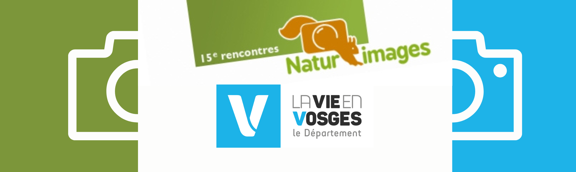 Culture dans les Vosges : les élus la soutiennent techniquement !