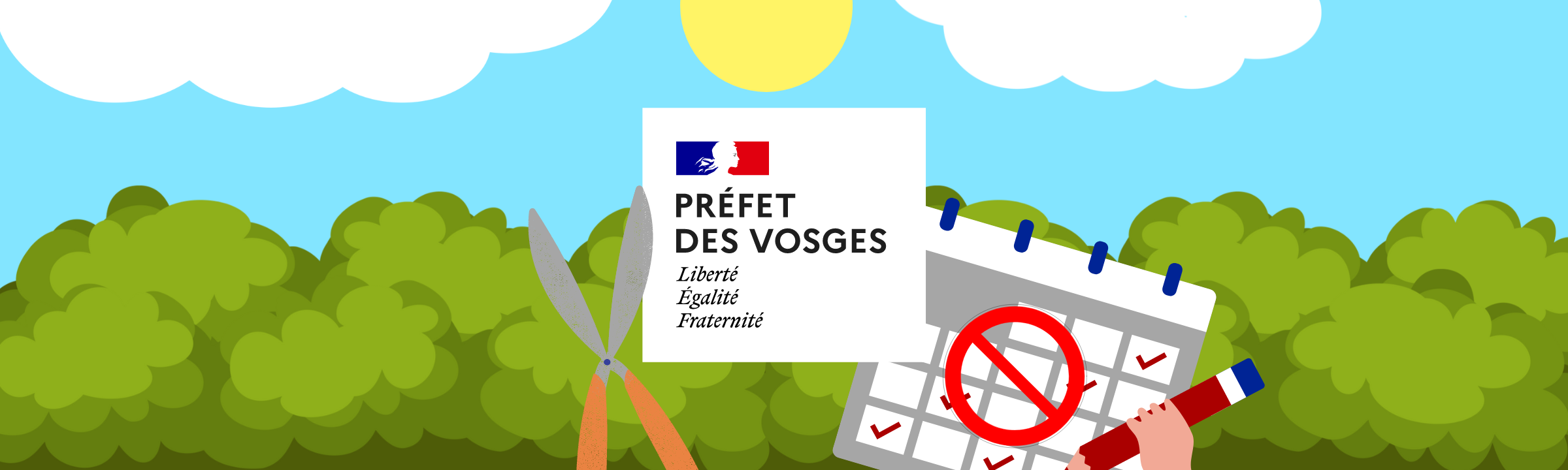 Vosges : la taille des haies est désormais interdite jusqu’au 15 Août !
