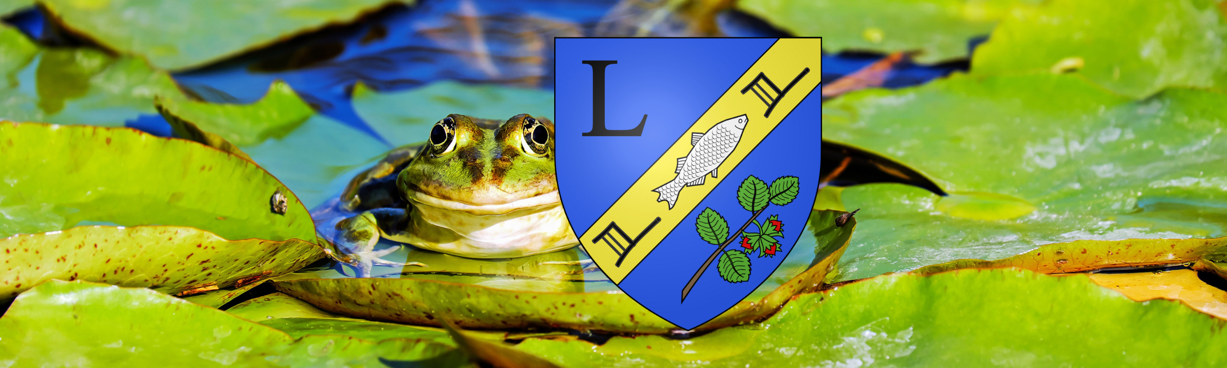 Les élèves lavelinois partent de nouveau à la rencontre de la mare d’Honville !