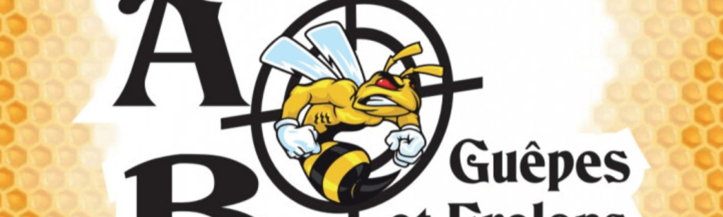 AB Guêpes et Frelons veille sur vos habitations&nbsp;!