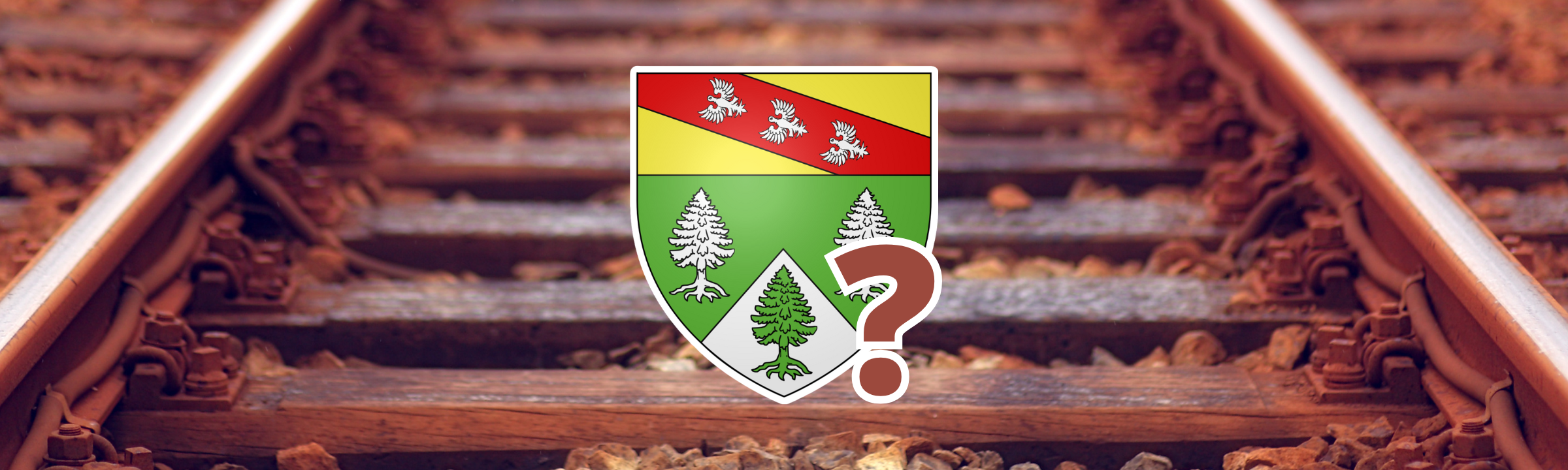 Le Grand Est investit massivement dans le train : quel impact dans les Vosges ?