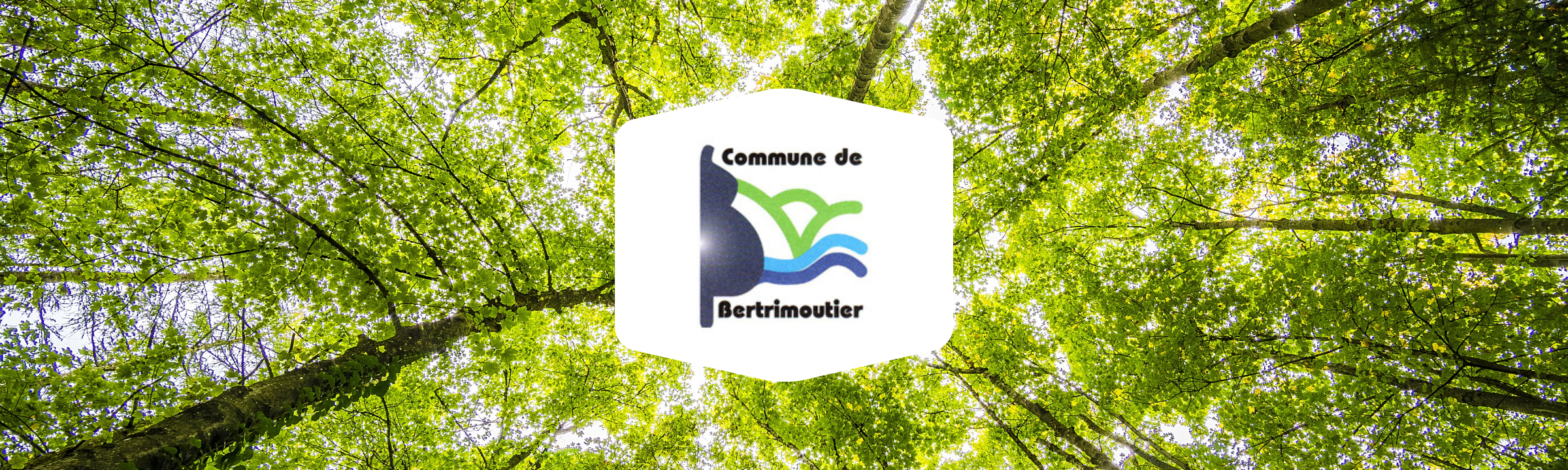 [ANNULÉE] A la (re)découverte de nos forêts le 15 Octobre 2023 à Bertrimoutier !