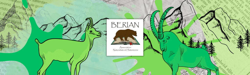 Histoire du Chamois et Bouquetin dans les Vosges, entre mythes et réalité, avec BERIAN le 6 Octobre&nbsp;!