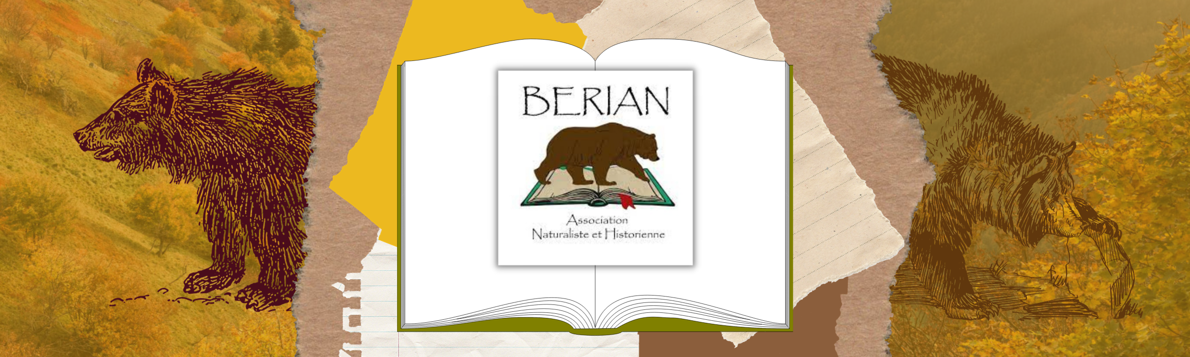 Découvrez le 1er livre de BERIAN : « L’ours de Vosges – Sur les traces d’un animal disparu » !