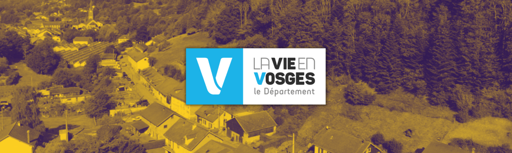 Plus de 1 400 000 € pour l&rsquo;insertion économique dans les Vosges&nbsp;!