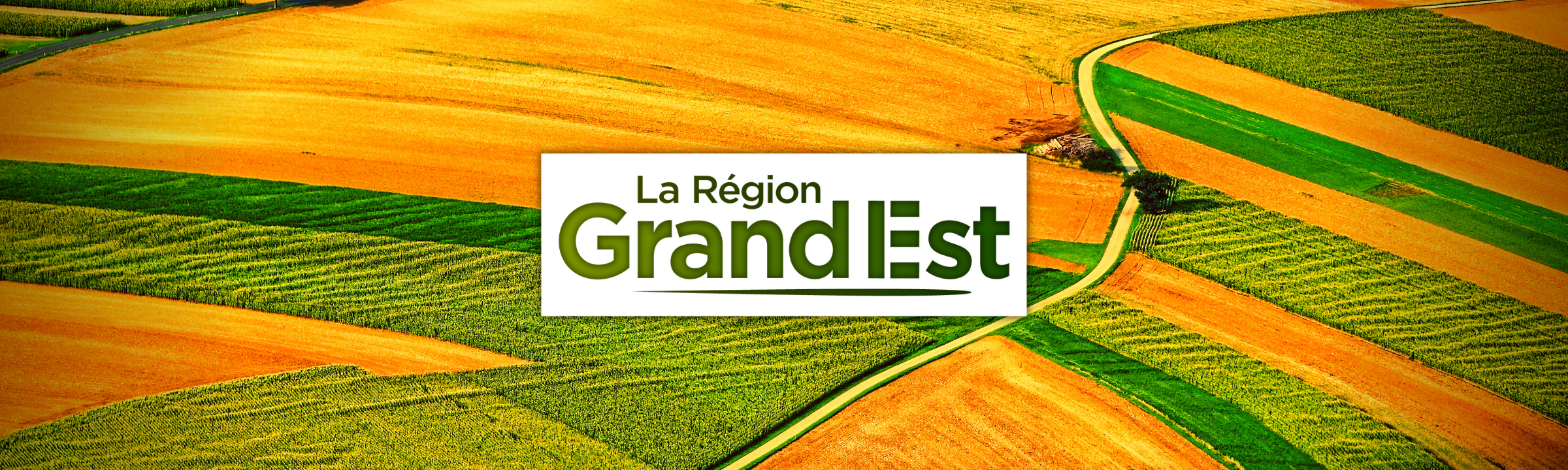 La Région Grand Est soutient la recherche dans les biotechnologies !